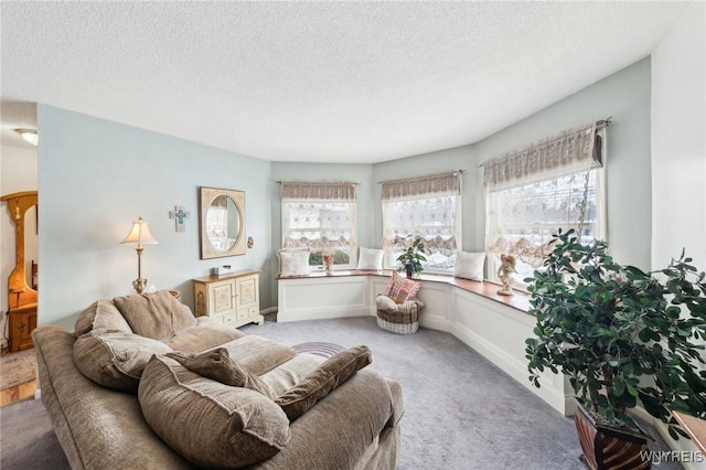 carpeted living room with a textured ceiling and a wealth of natural light