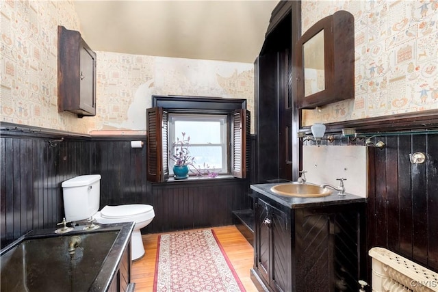 bathroom with toilet, vanity, and hardwood / wood-style floors