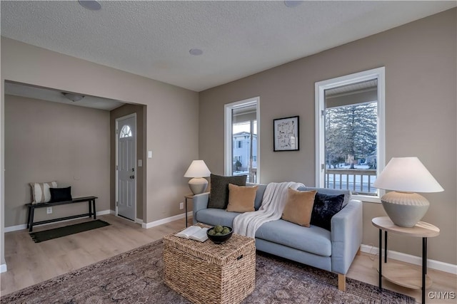 living room with a textured ceiling and wood-type flooring