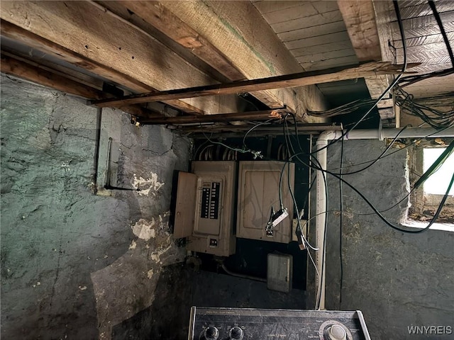 basement featuring electric panel