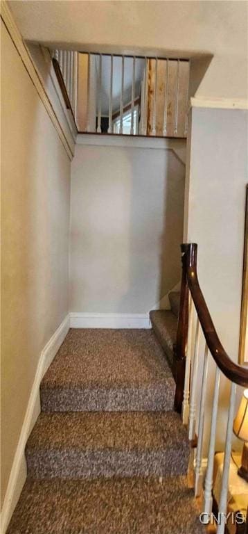 stairway with carpet flooring