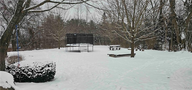 view of property's community featuring a trampoline