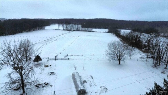 view of snowy yard