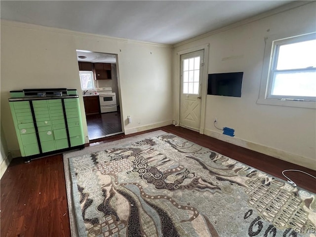 living room featuring a healthy amount of sunlight, dark wood-type flooring, ornamental molding, and sink