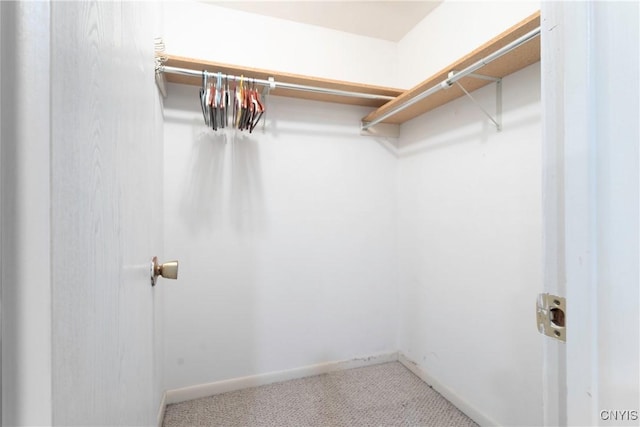 view of spacious closet