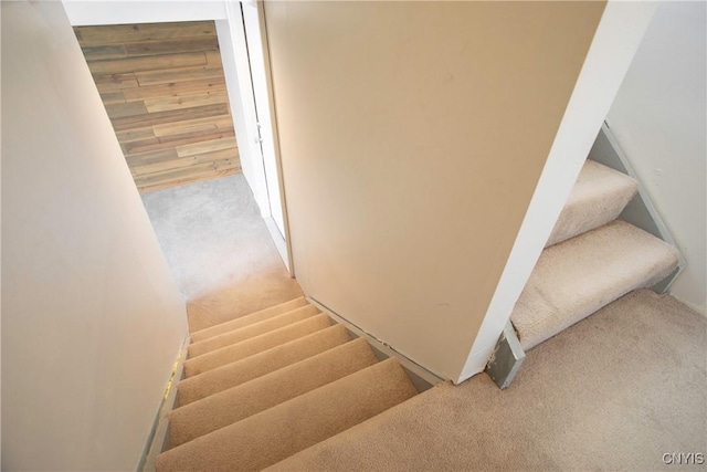 stairway with wooden walls and carpet floors