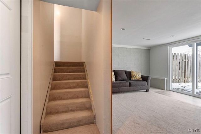 staircase featuring carpet floors