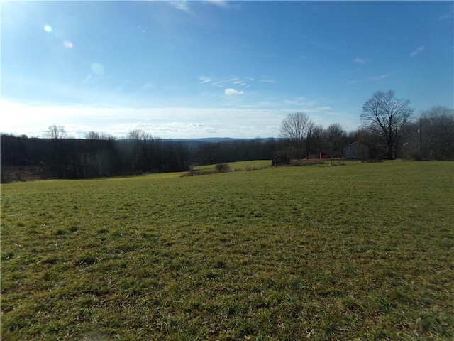 view of yard with a rural view