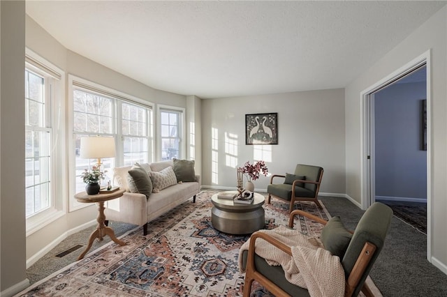 living room featuring carpet and plenty of natural light