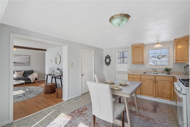 dining area featuring light hardwood / wood-style floors and sink