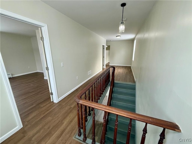 staircase featuring wood-type flooring and baseboard heating