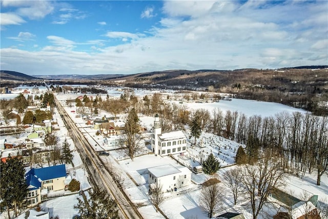 view of snowy aerial view