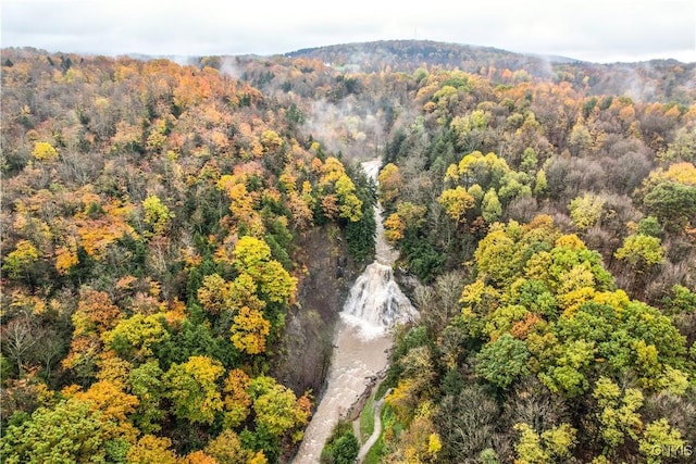 bird's eye view