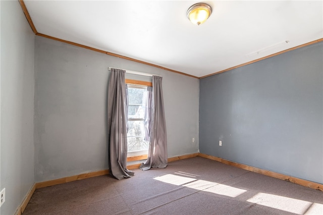 spare room with ornamental molding and carpet flooring