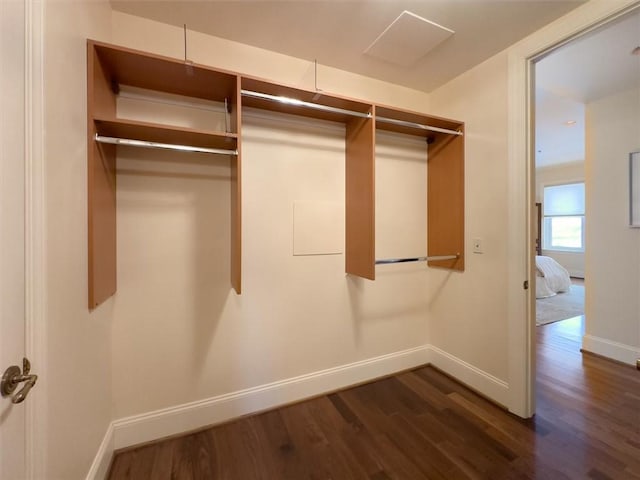 spacious closet featuring dark hardwood / wood-style floors