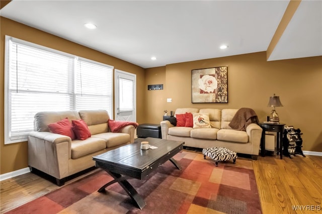 living room featuring wood-type flooring