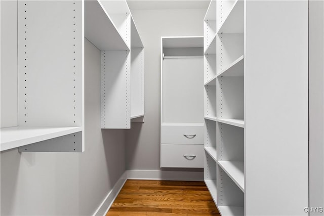 walk in closet with hardwood / wood-style flooring