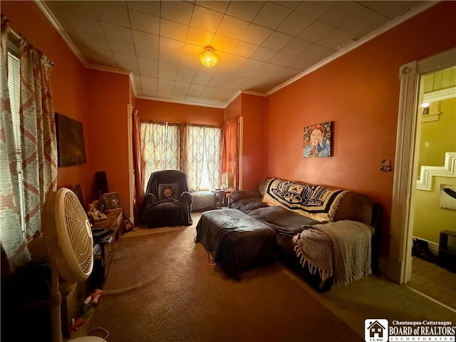 interior space featuring carpet flooring and crown molding