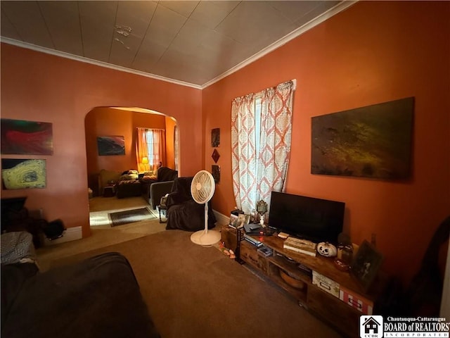 interior space featuring ornamental molding, a healthy amount of sunlight, and carpet floors