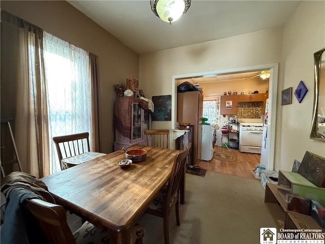 dining room featuring a wealth of natural light and independent washer and dryer