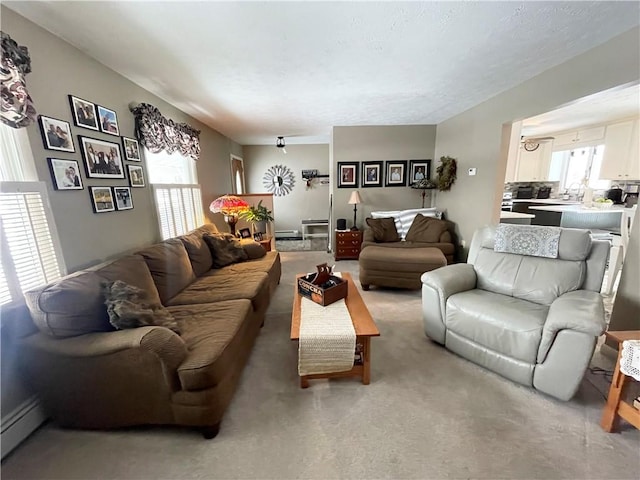 living room featuring a baseboard radiator