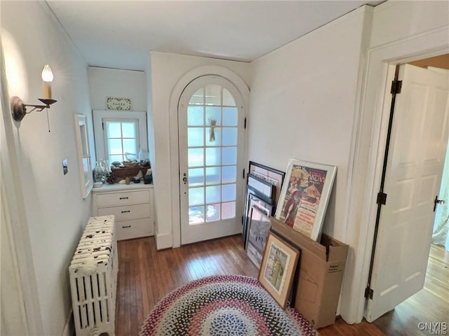 entryway with radiator, wood-type flooring, french doors, and plenty of natural light