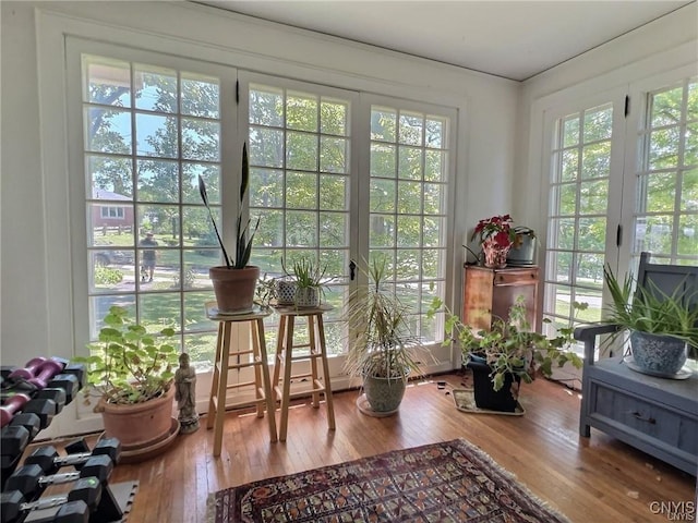 view of sunroom