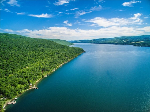 aerial view featuring a water and mountain view