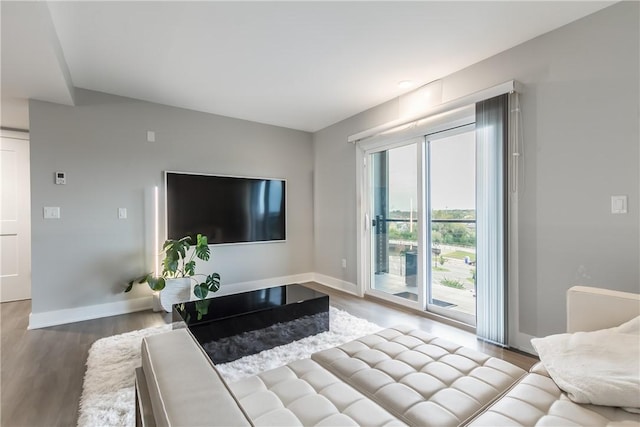 living room with hardwood / wood-style floors