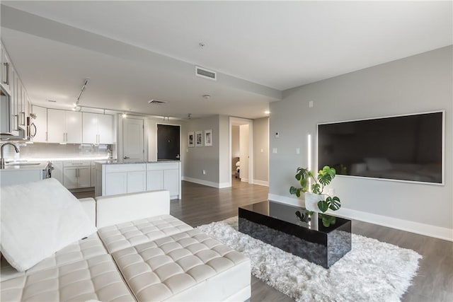 living room featuring sink and dark wood-type flooring