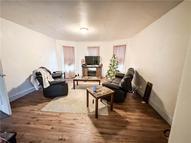 living room with a fireplace and dark hardwood / wood-style floors