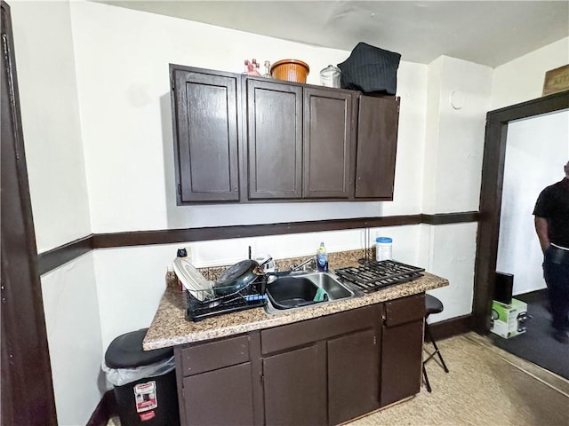 kitchen with sink and dark brown cabinetry