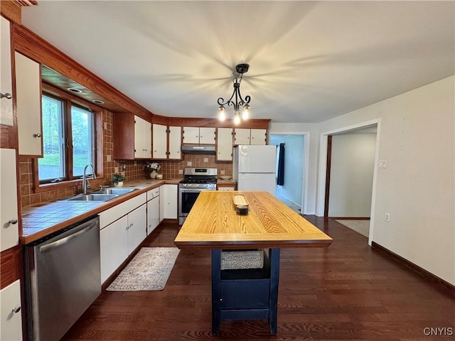 5902 N Rd, Owasco, NY 13021 - kitchen featuring appliances with stainless steel finishes, under cabinet range hood, a sink, white cabinetry, and backsplash