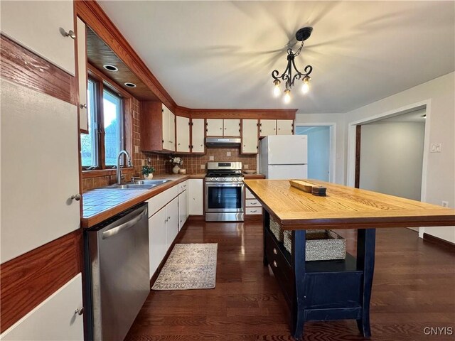 5902 N Rd, Owasco, NY 13021 - kitchen featuring appliances with stainless steel finishes, a sink, under cabinet range hood, white cabinetry, and decorative backsplash