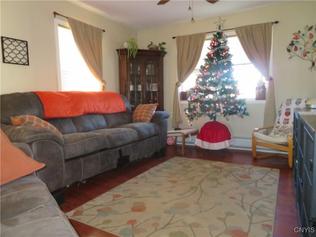 living room featuring ceiling fan, plenty of natural light, and dark hardwood / wood-style floors