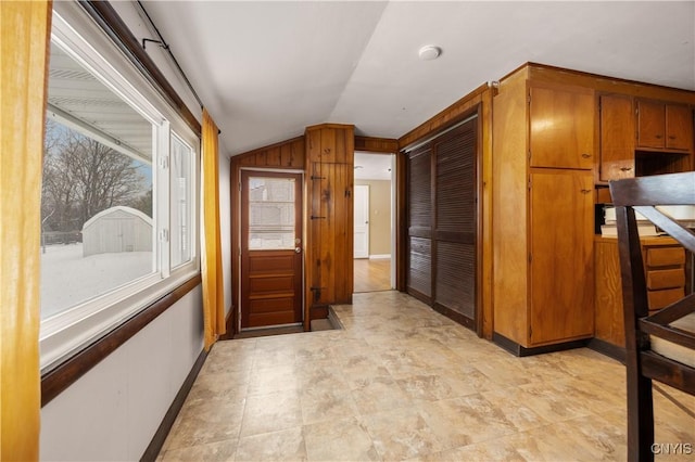 kitchen featuring wooden walls and vaulted ceiling