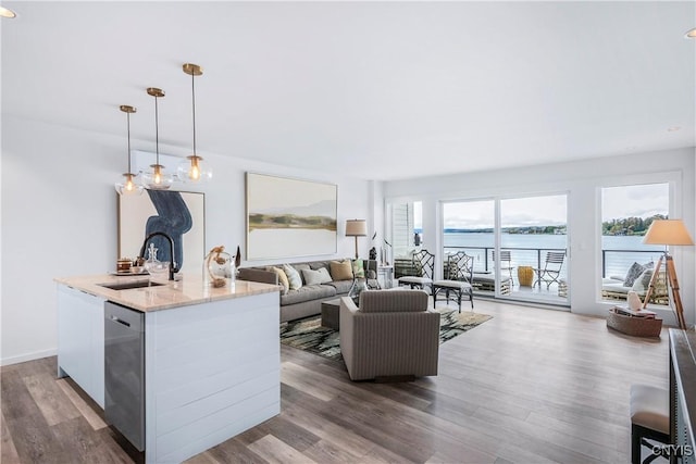 living room featuring a water view, dark hardwood / wood-style floors, and sink