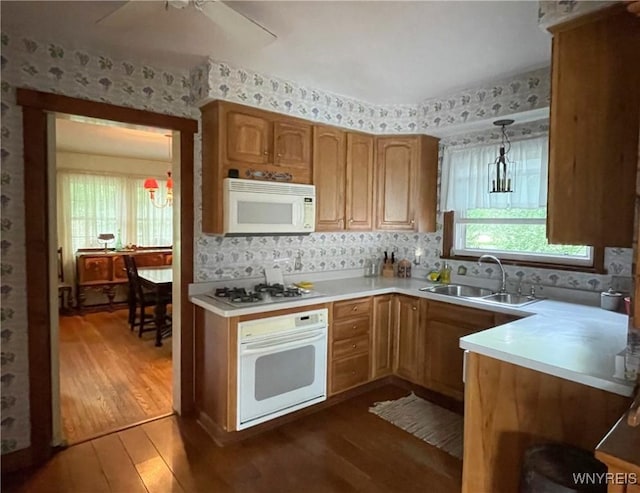 kitchen featuring white appliances, dark wood-type flooring, hanging light fixtures, and sink