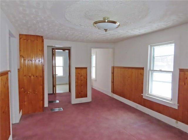 carpeted spare room featuring wooden walls, a textured ceiling, and plenty of natural light