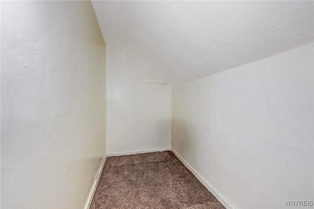 bonus room featuring lofted ceiling and carpet flooring