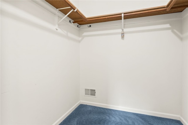 spacious closet with carpet floors