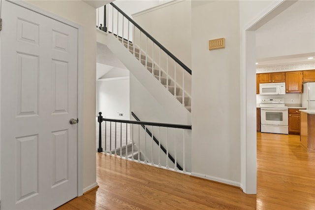 staircase featuring wood-type flooring