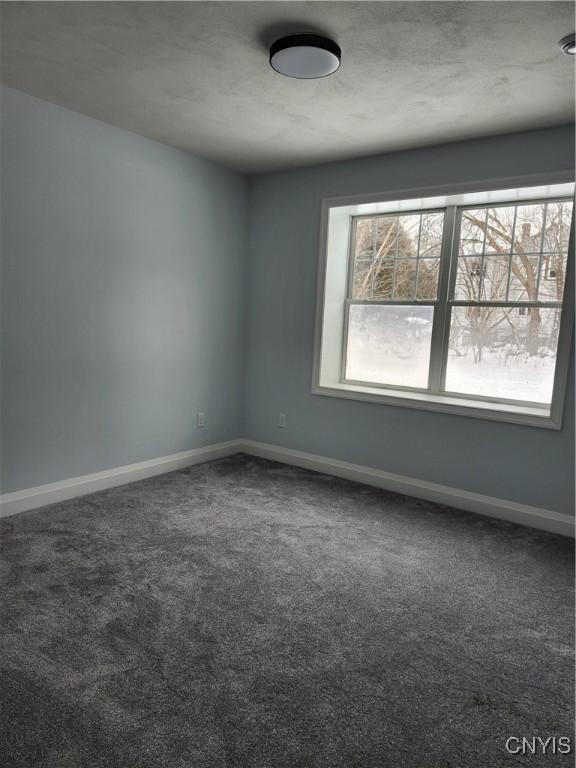 spare room with carpet floors