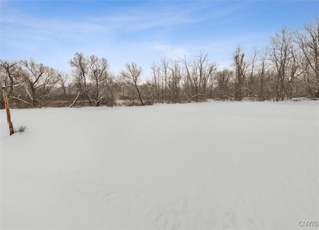 view of yard covered in snow