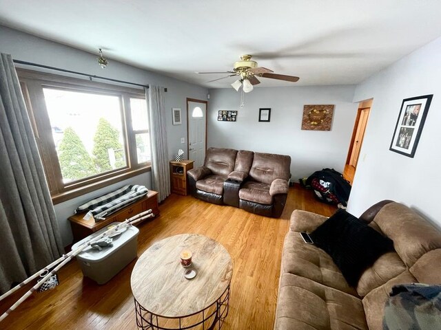 living room with ceiling fan and wood-type flooring