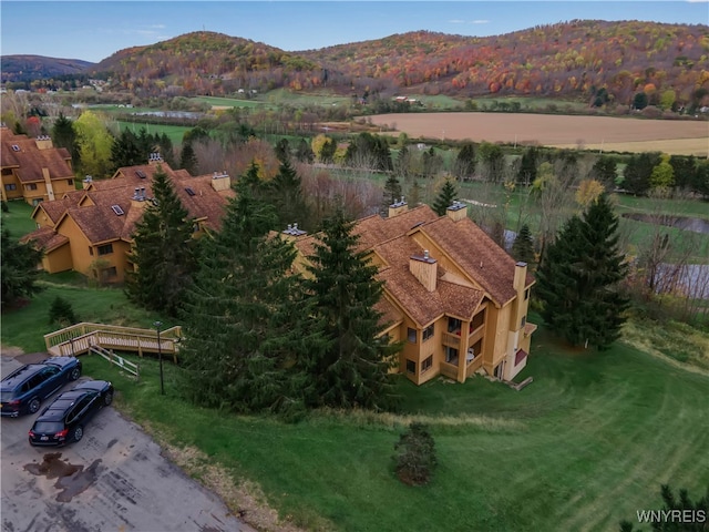 aerial view with a mountain view