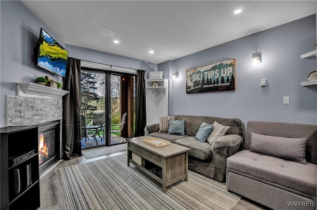 living room with a fireplace and wood-type flooring