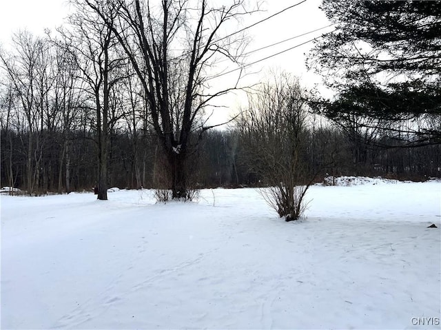 view of yard layered in snow