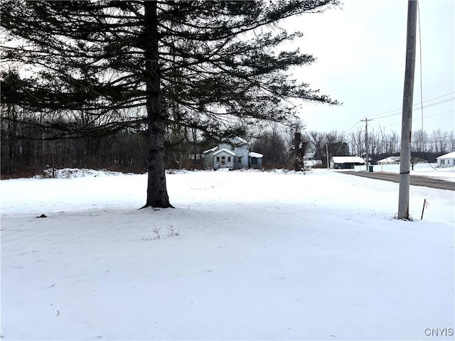 view of yard layered in snow