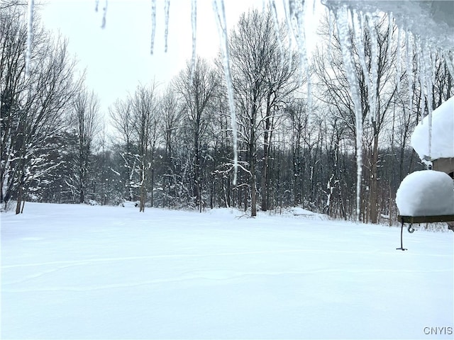 view of yard covered in snow